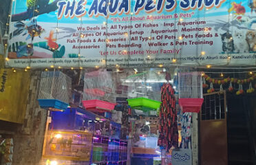 The Aqua Pets Shop   best aquarium and pets shop in Kandivali