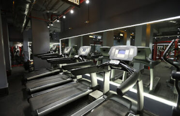 Iron Paradise Gym in Malad  Gym in kandivali  weight loss centre  fitness centre