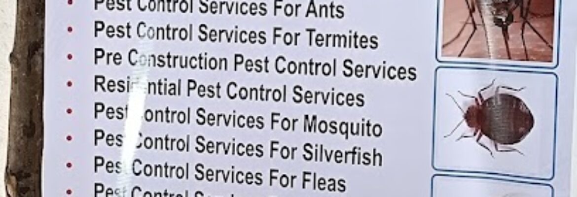 Pest Relief Services  Professional Pest Control Service in Kandivali