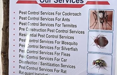 Pest Relief Services  Professional Pest Control Service in Kandivali