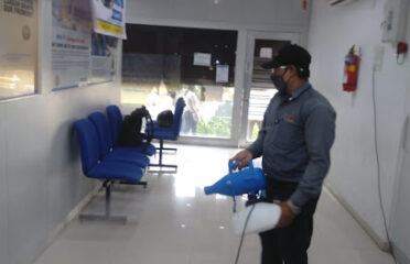 Pest Control New Idea   Pest Control Service in Kandivali