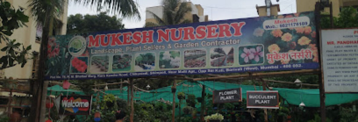 Mukesh Nursery