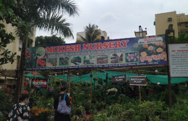 Mukesh Nursery