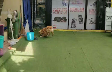 Canine Products Kandivali